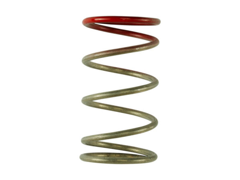 Wastegate Springs
