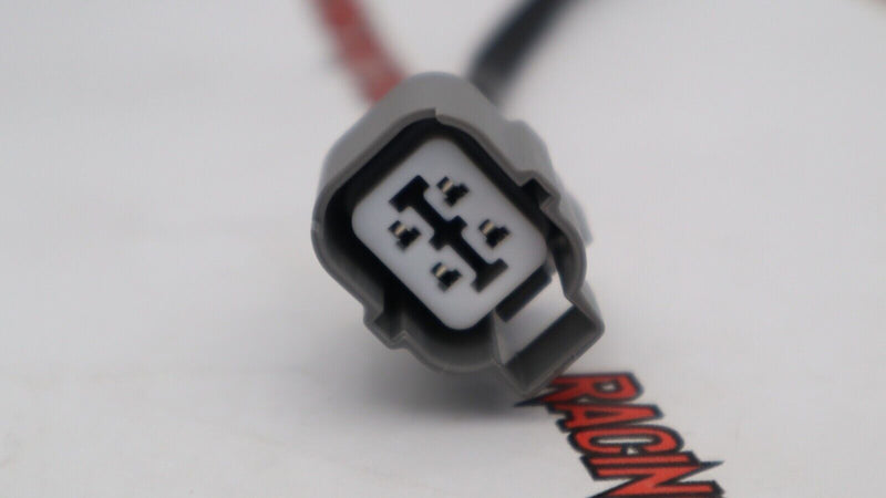 TRC EG DC Integra Civic K-Swap Conversion jumper Harness K20 K20A2 K24 K SERIES