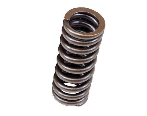 BLOX Racing Valve Springs for D - series SOHC VTEC D16Z - Y (1.6L SOHC VTEC) - BattleBorn SpeedShop
