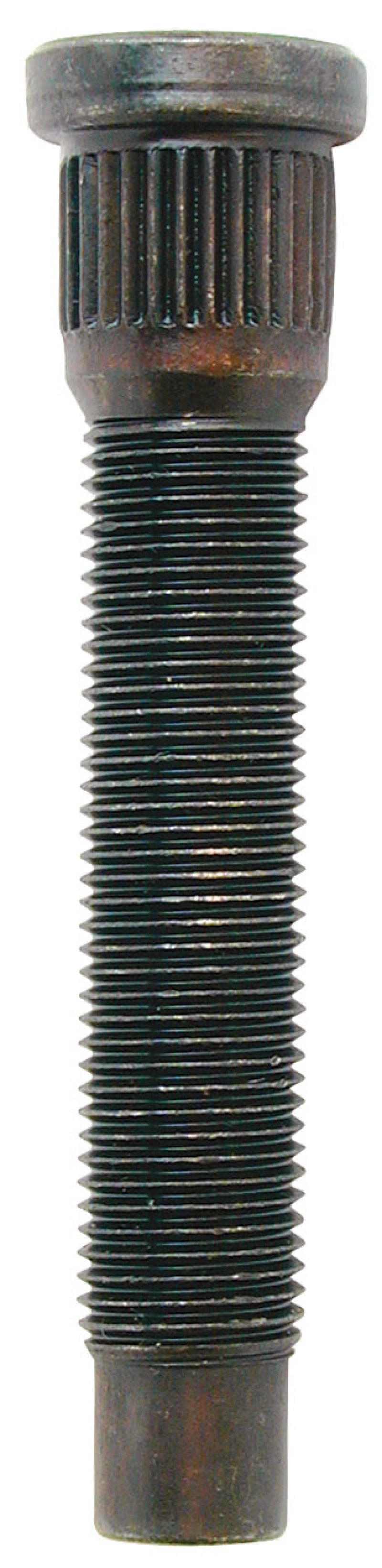 Wheel Studs
