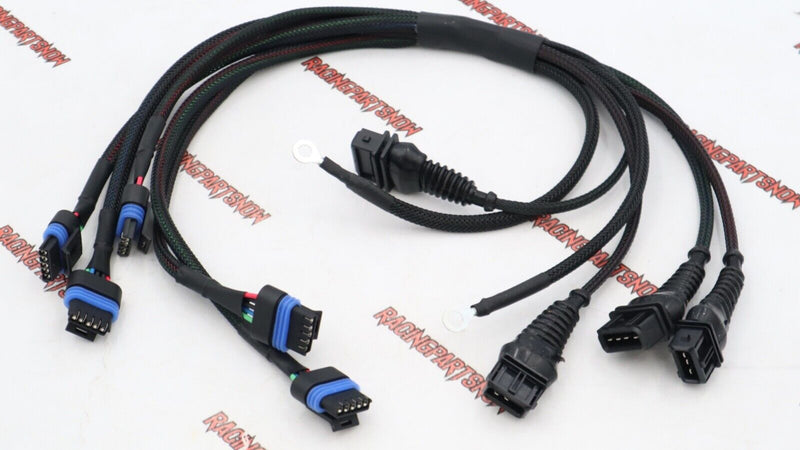 HARNESS 109
