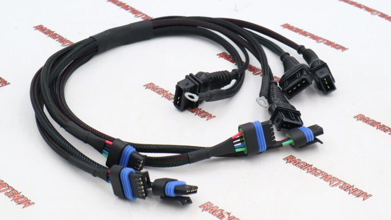 HARNESS 109