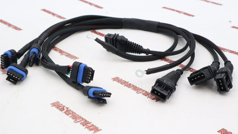 HARNESS 109