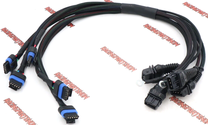 HARNESS 109