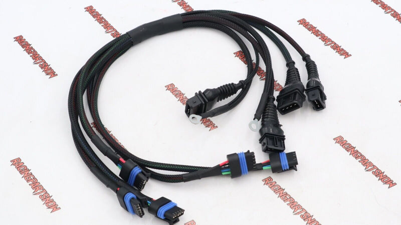 HARNESS 109