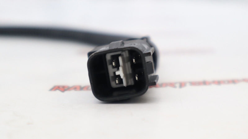 HARNESS 61