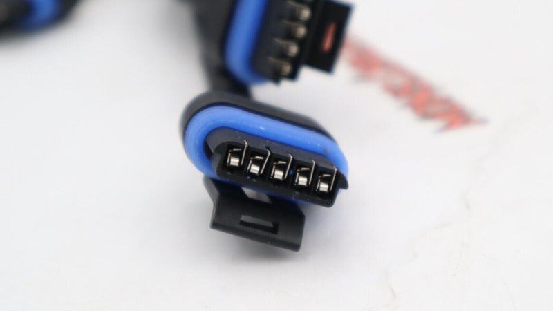 HARNESS 109