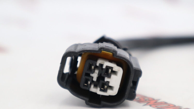 HARNESS 61