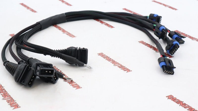 HARNESS 109