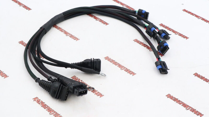 HARNESS 109