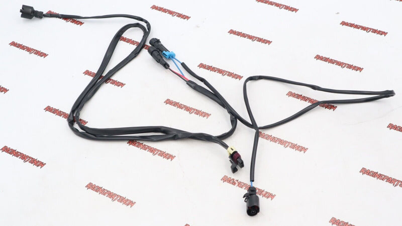 HARNESS 2